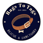 Rags To Tags
