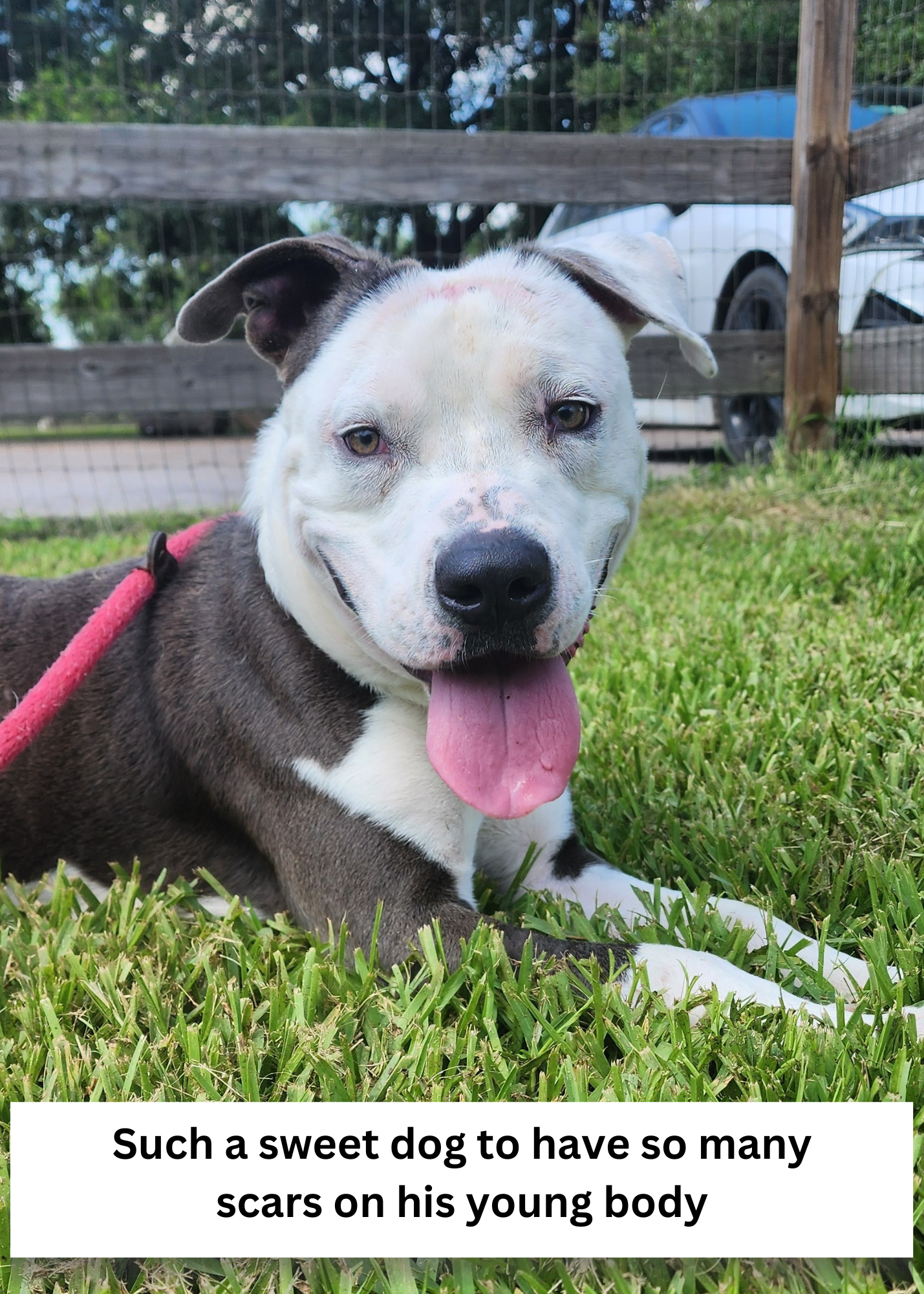 Henry3
