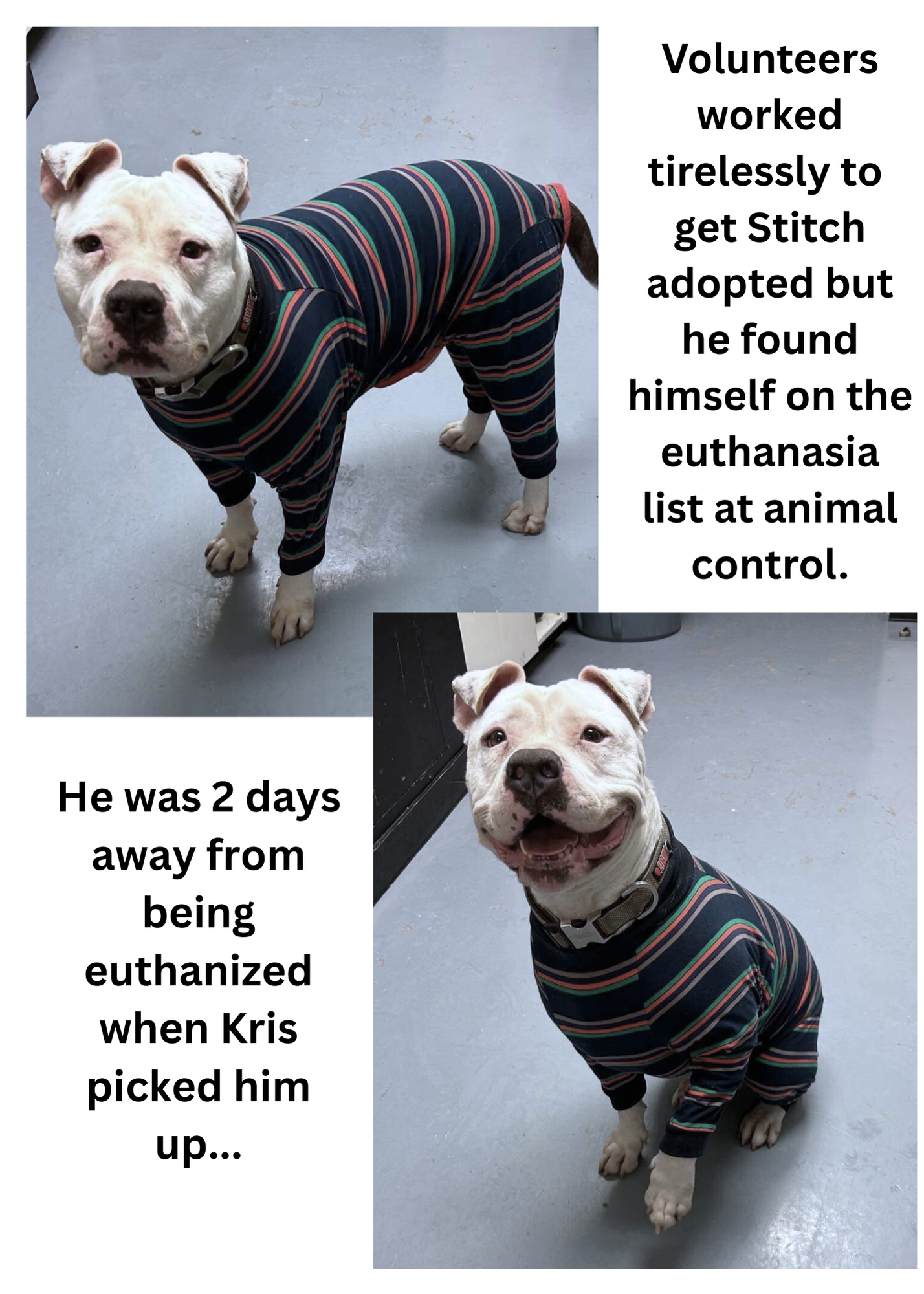 Stitch2