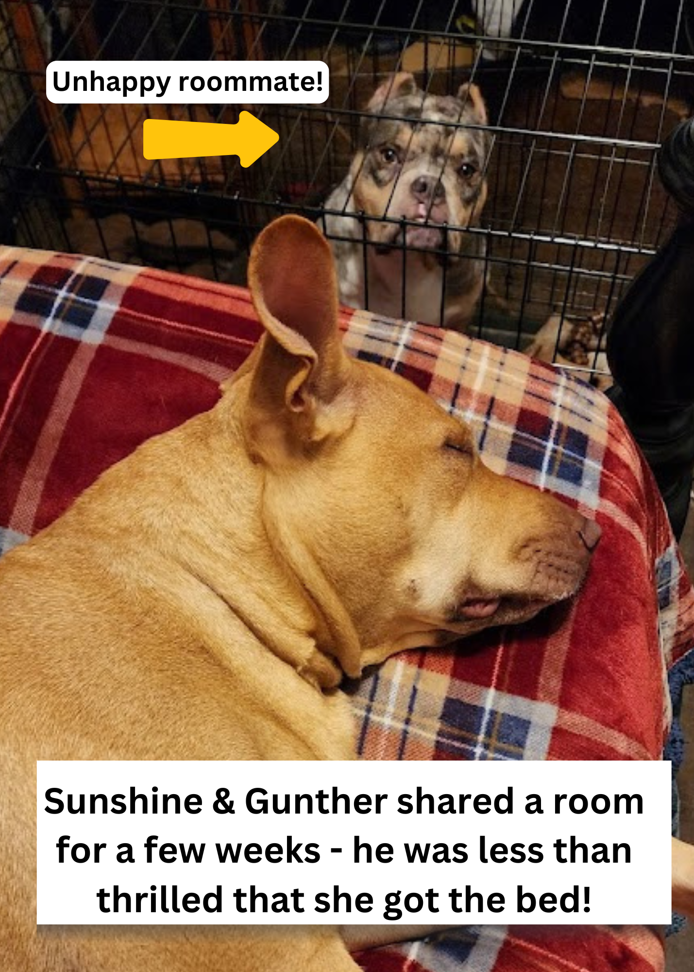 Sunshine3